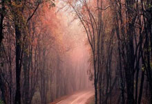 惊心动魄，巴萨本世纪第9次在落后两球情况下逆转取胜.