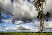 鲸鱼体育：四连胜！威尔逊成特鲁姆普头号决赛克星，世界第.